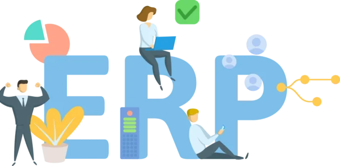 ERP project manager