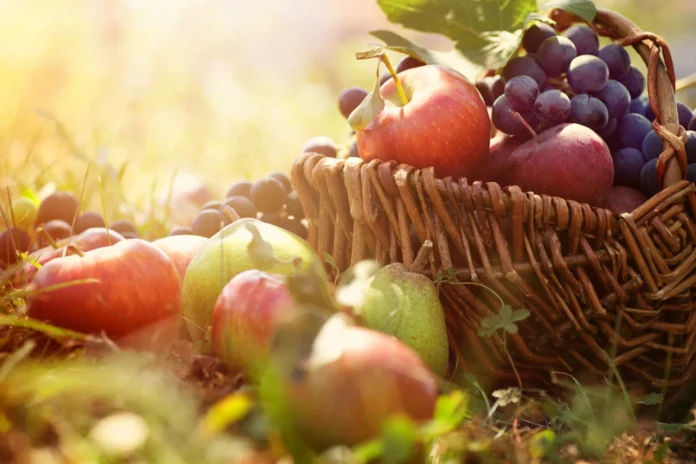 fruit growth 2